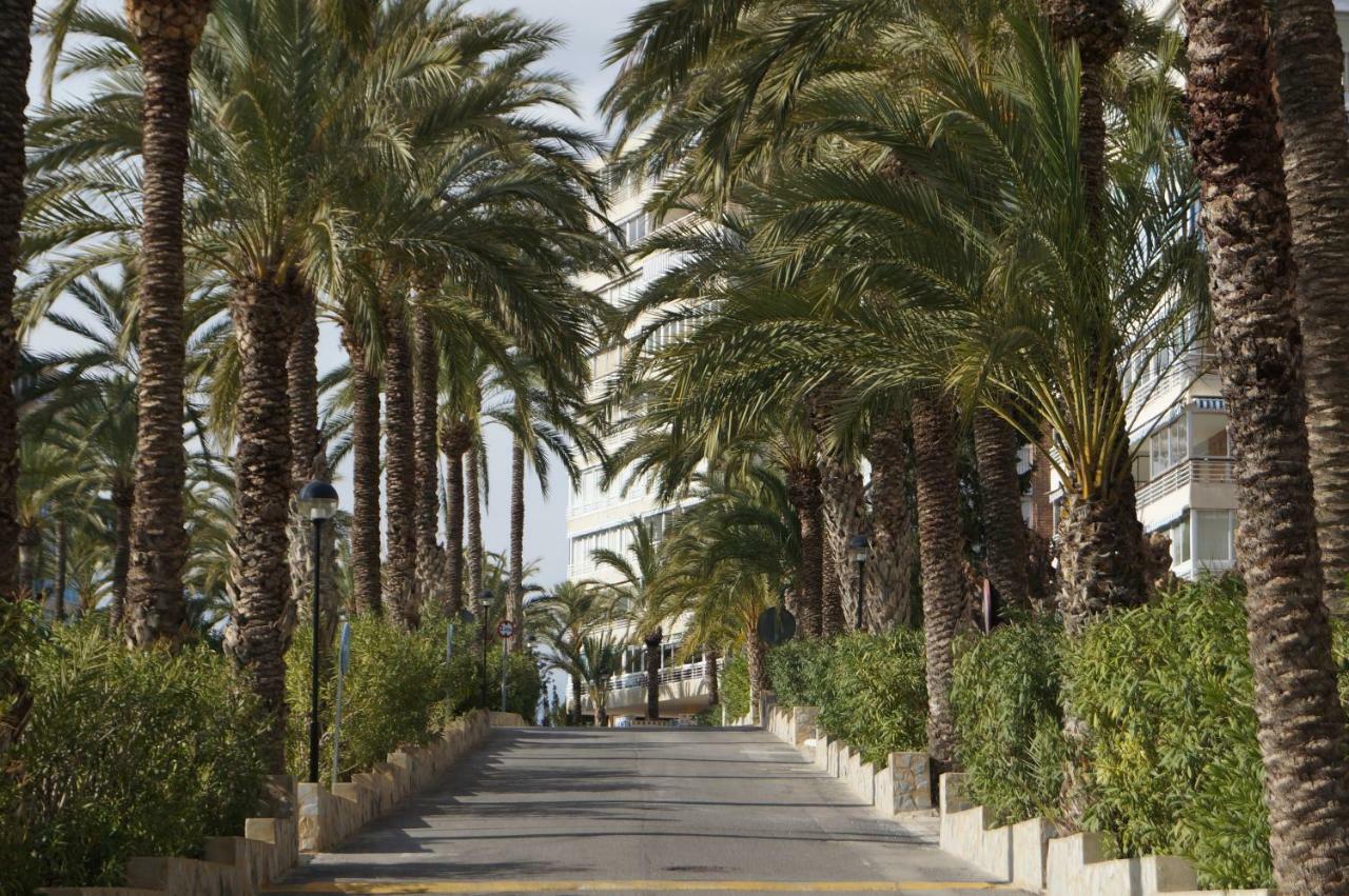 Barbara 20 Playa Muchavista Alicante El Campello Exteriör bild